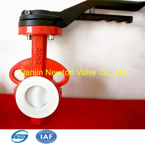 Two Holes Full PTFE PFA Lined Without Pin Butterfly Valve with Lever Operator