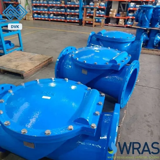Manufacturer Ductile Iron Pn16 DN600 Flanged Soft Seat Resilient Seated Rubber Flap Flexible Disc Type Swing Check Valve 