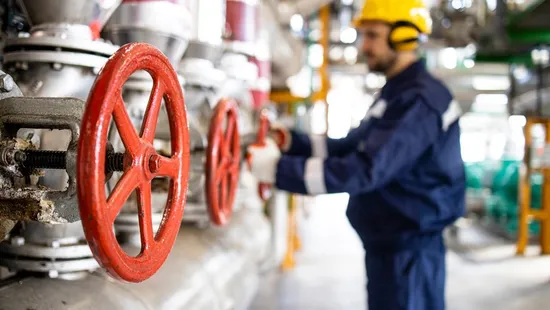 ANSI Standard Stainless Steel Bellows Seal Globe Valve for Efficient Fluid Management 