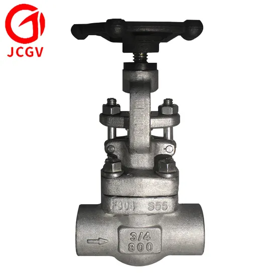 Industrial API602 800lb Stainless Steel Forged Steel Sw Globe Valve 
