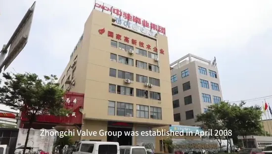Stainless Steel/Gate Valve/Industrial/Float Ball/Check Valve/Flange/Globe/Butterfly/Electric/Ball Valve for Water/Gas/Liquid 