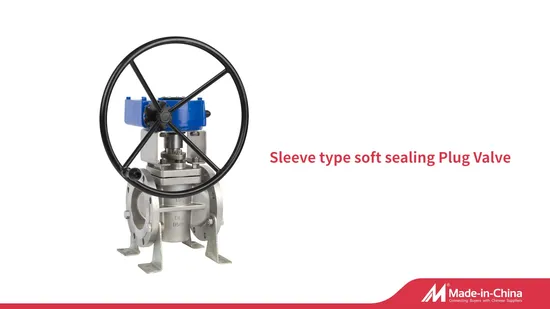 Plug Valve with 904L Body and Stainless Steel Worm Gear 