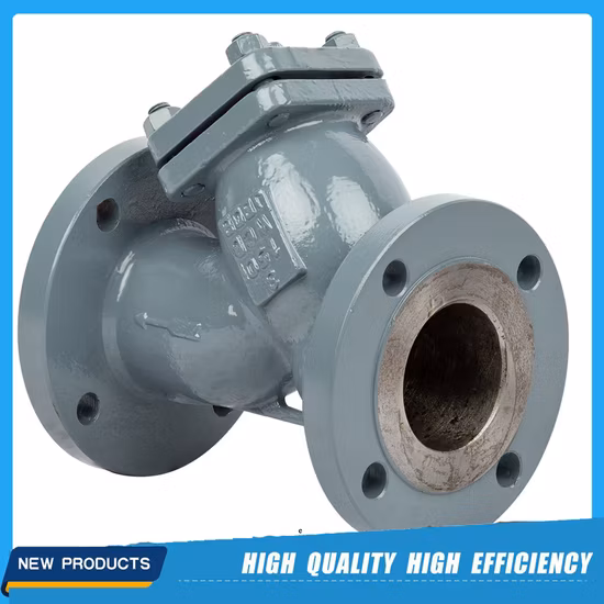 ASTM API DIN GOST GB Industrial Carbon Steel Y Strainer/Filter