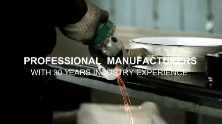 ANSI Standard Made in China Stainless Steel with Dual Plate and Wafer Check Valve 