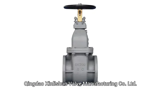 JIS F7363c Cast Iron Bronze Brass Cast Steel Flange Marine Gate Valve Used for Shipbuilding and Maintenance 