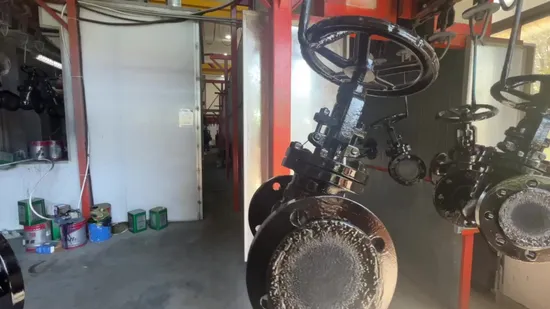 API Petrochemical Special Globe Valve 