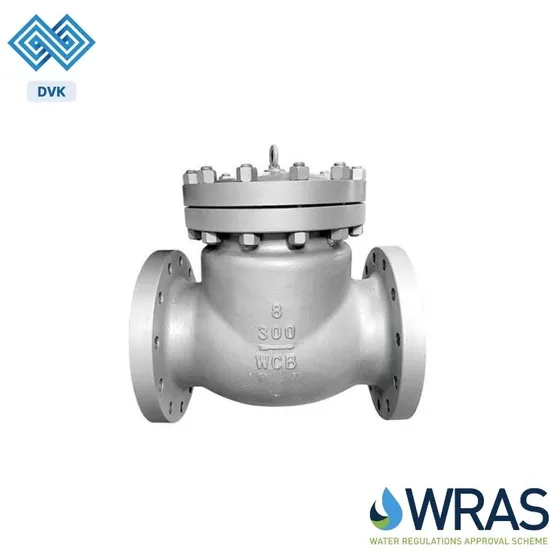 Manufacturer Stainless Steel Ductile Iron Pn16 DN400 Flanged Soft Seat Resilient Seated Rubber Flap Flexible Disc Type Swing Check Valve 