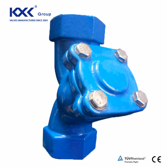 Ductile Iron Y Strainer Filter for Water Pipeline Thread Connection