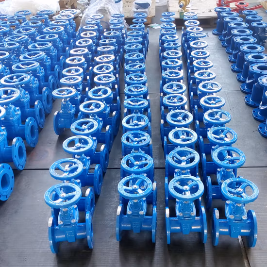 BS 5150/ DIN 3352 F4 F5/ Awwa C515 Double Flanged 2